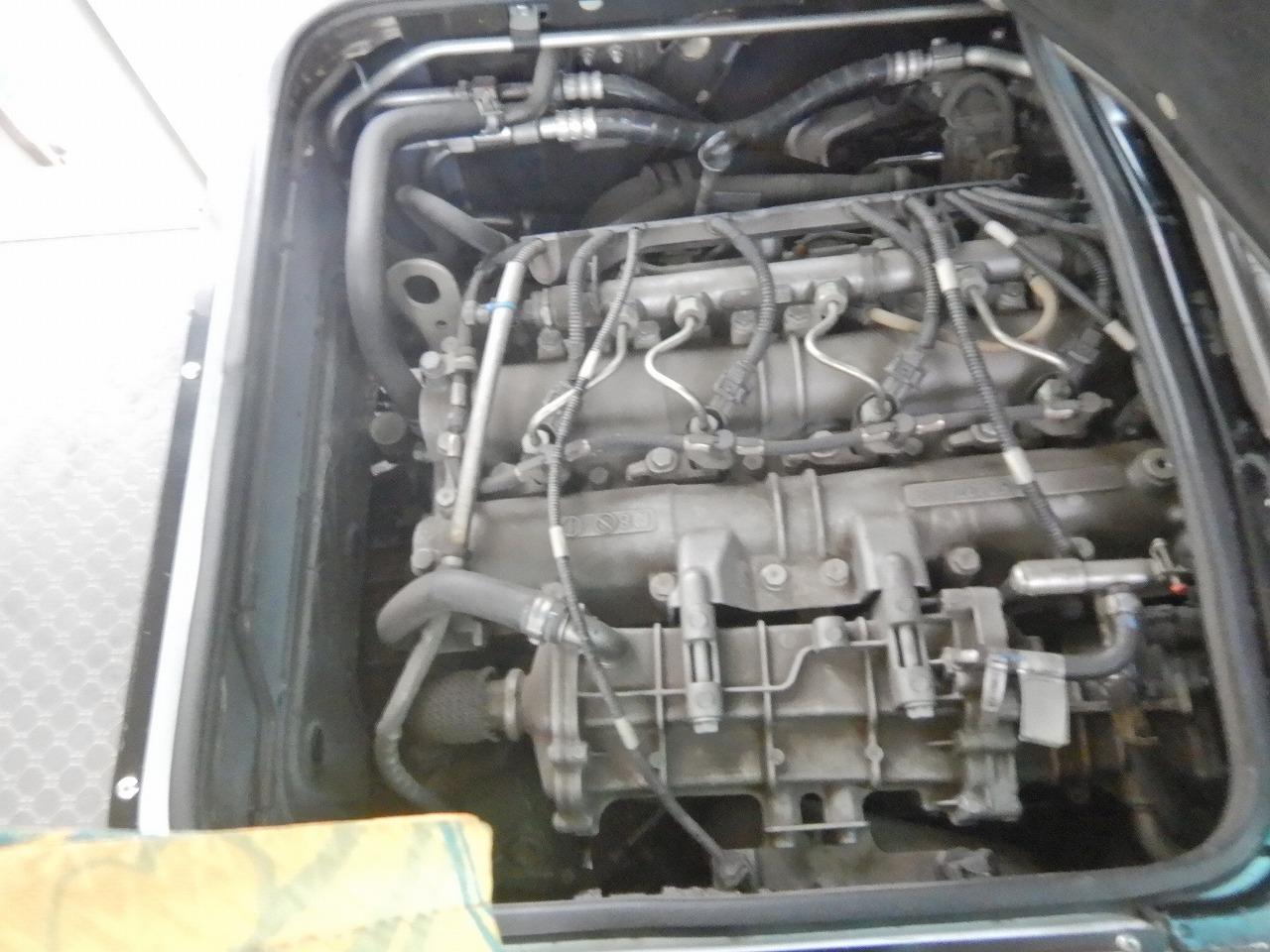 MITSUBISHI Rosa