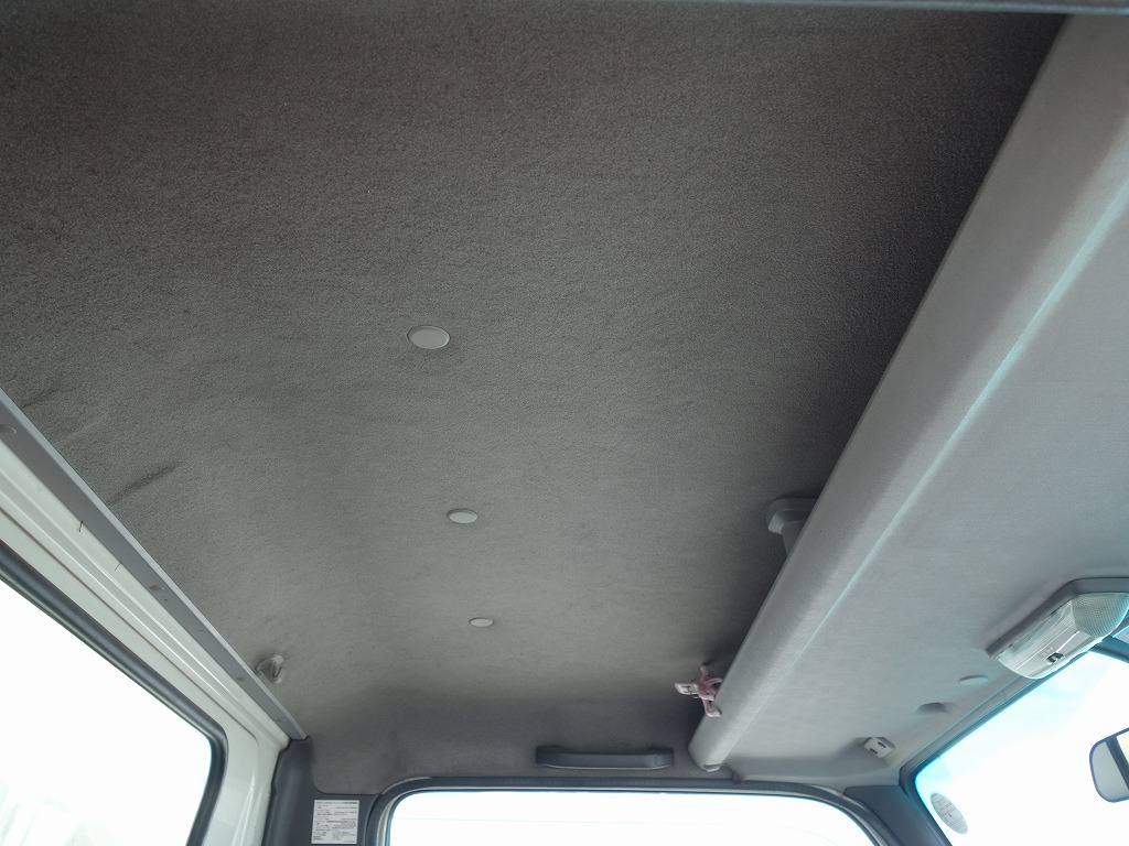 ISUZU Elf Truck