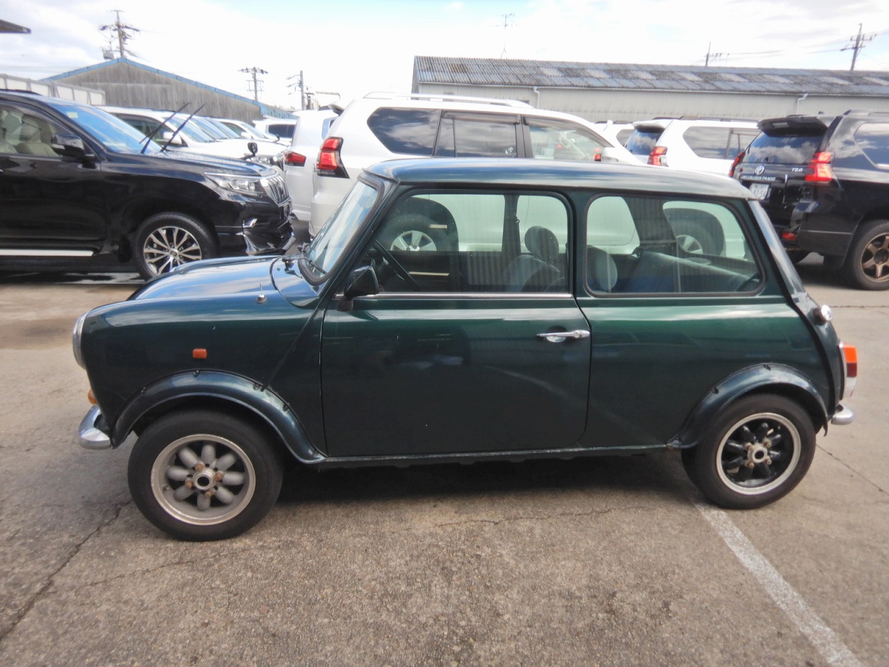 ROVER MINI
