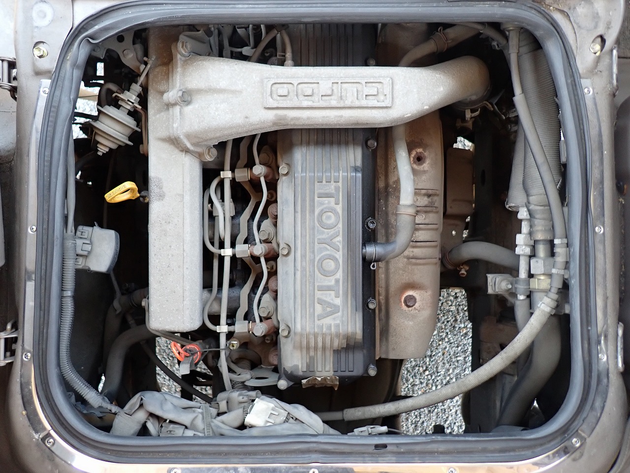 TOYOTA Coaster