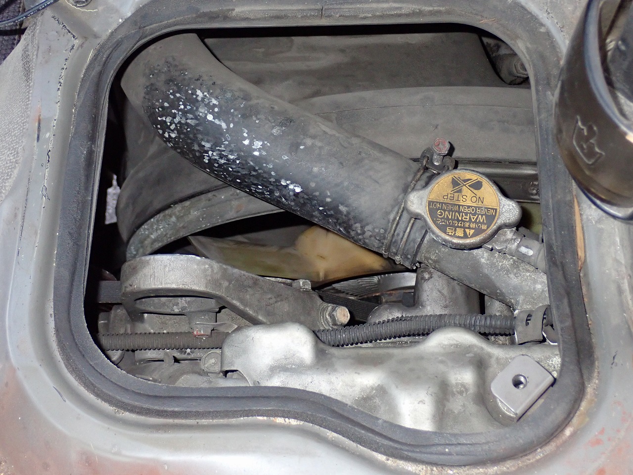 MITSUBISHI Rosa