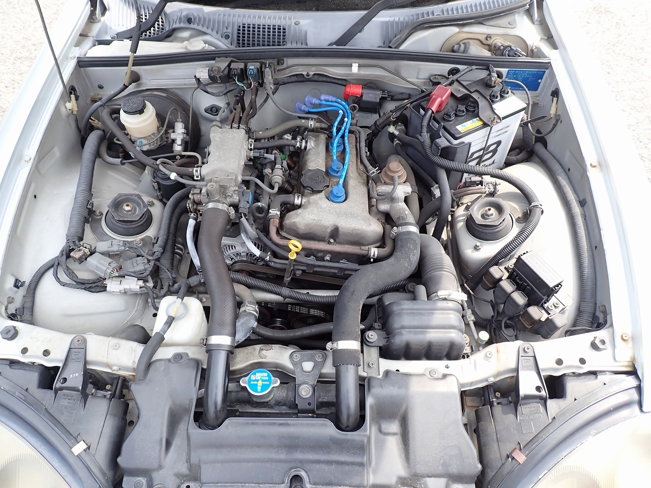 SUZUKI Cappuccino