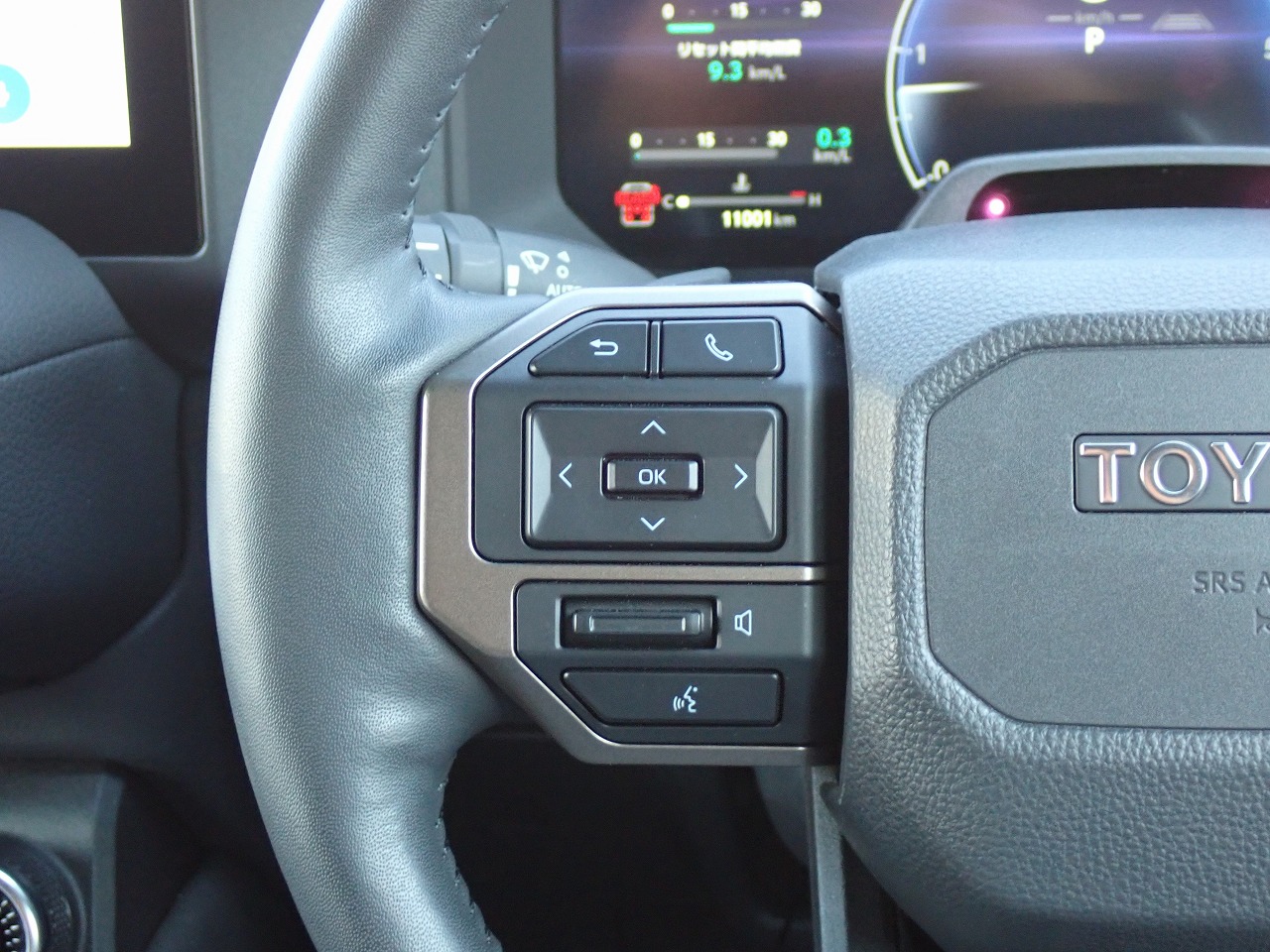 TOYOTA Land Cruiser 250