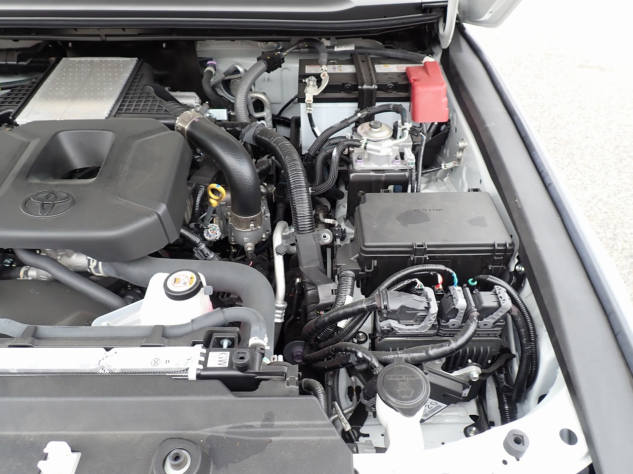 TOYOTA Land Cruiser 250