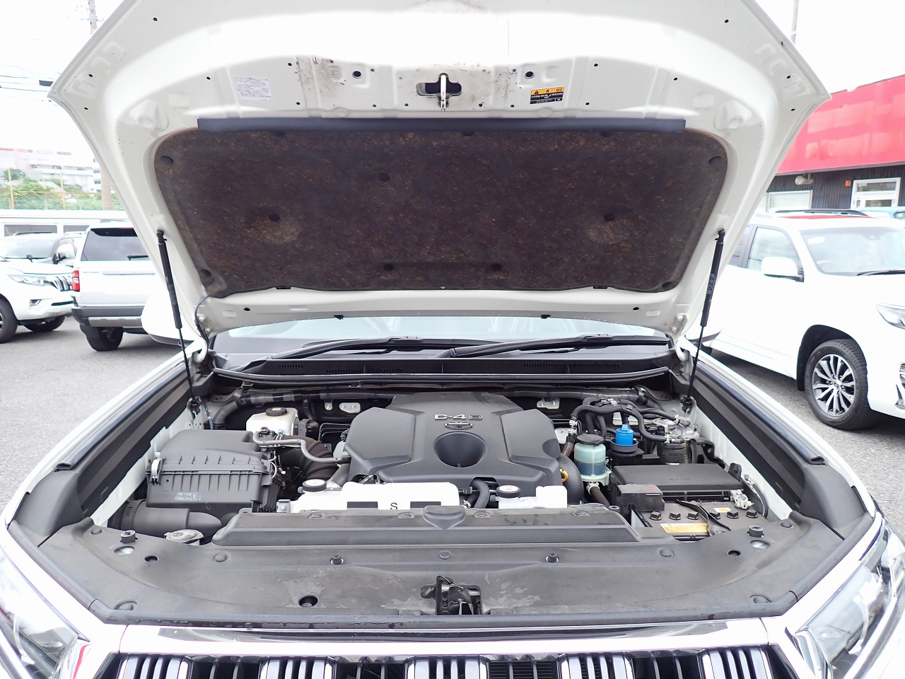 TOYOTA Land Cruiser Prado