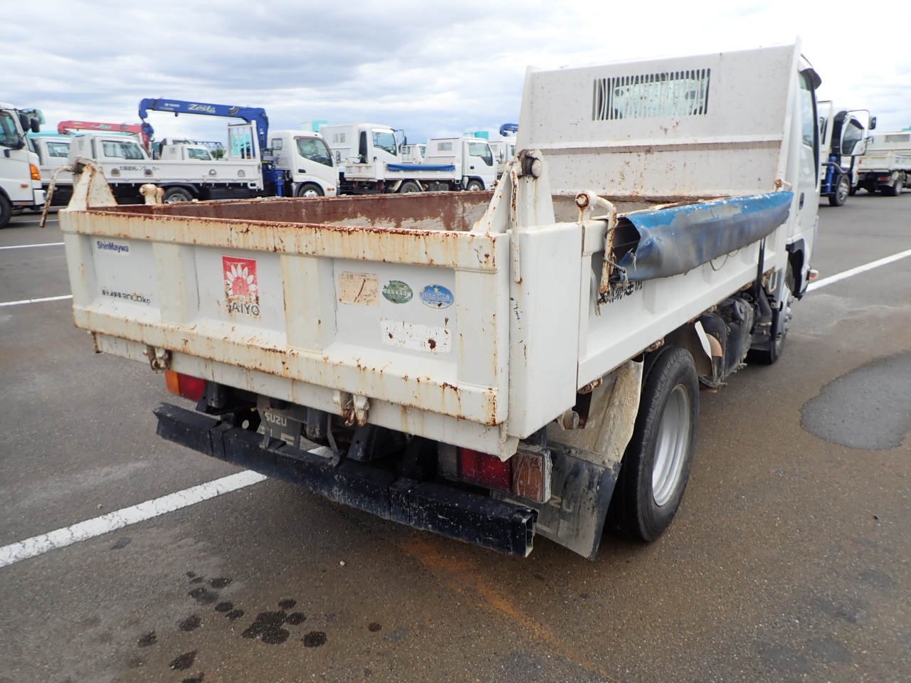 ISUZU Elf Truck