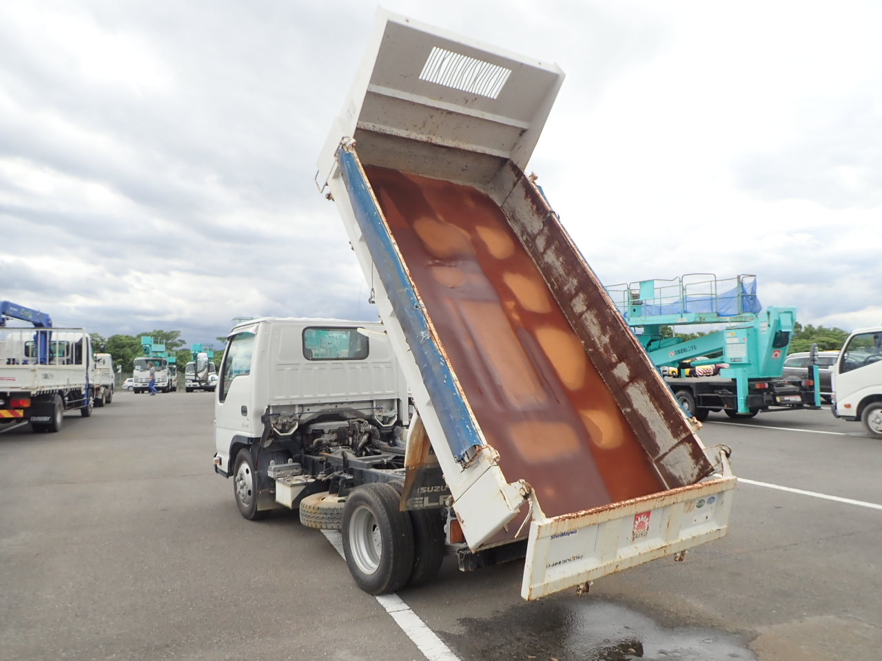 ISUZU Elf Truck