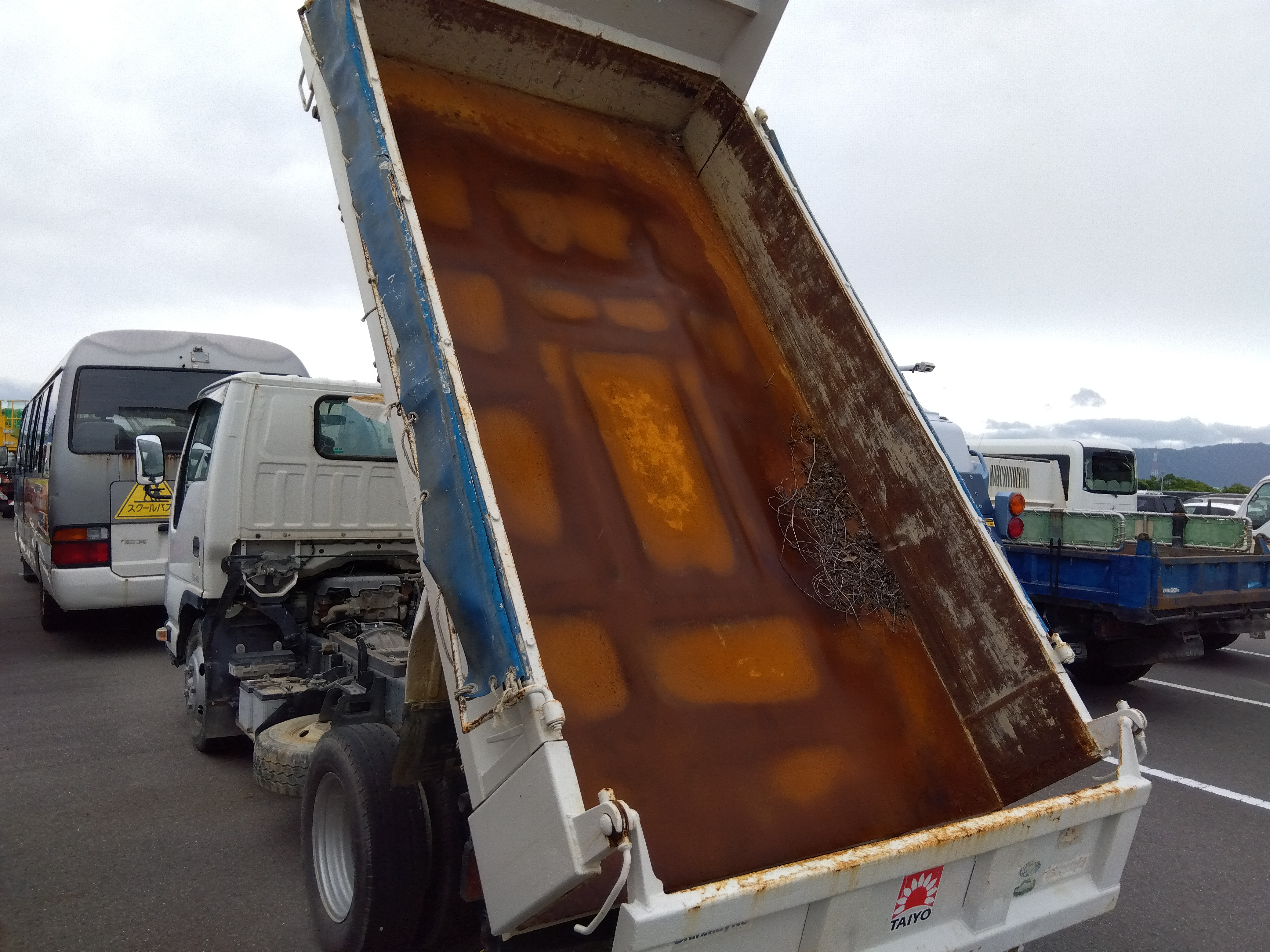 ISUZU Elf Truck