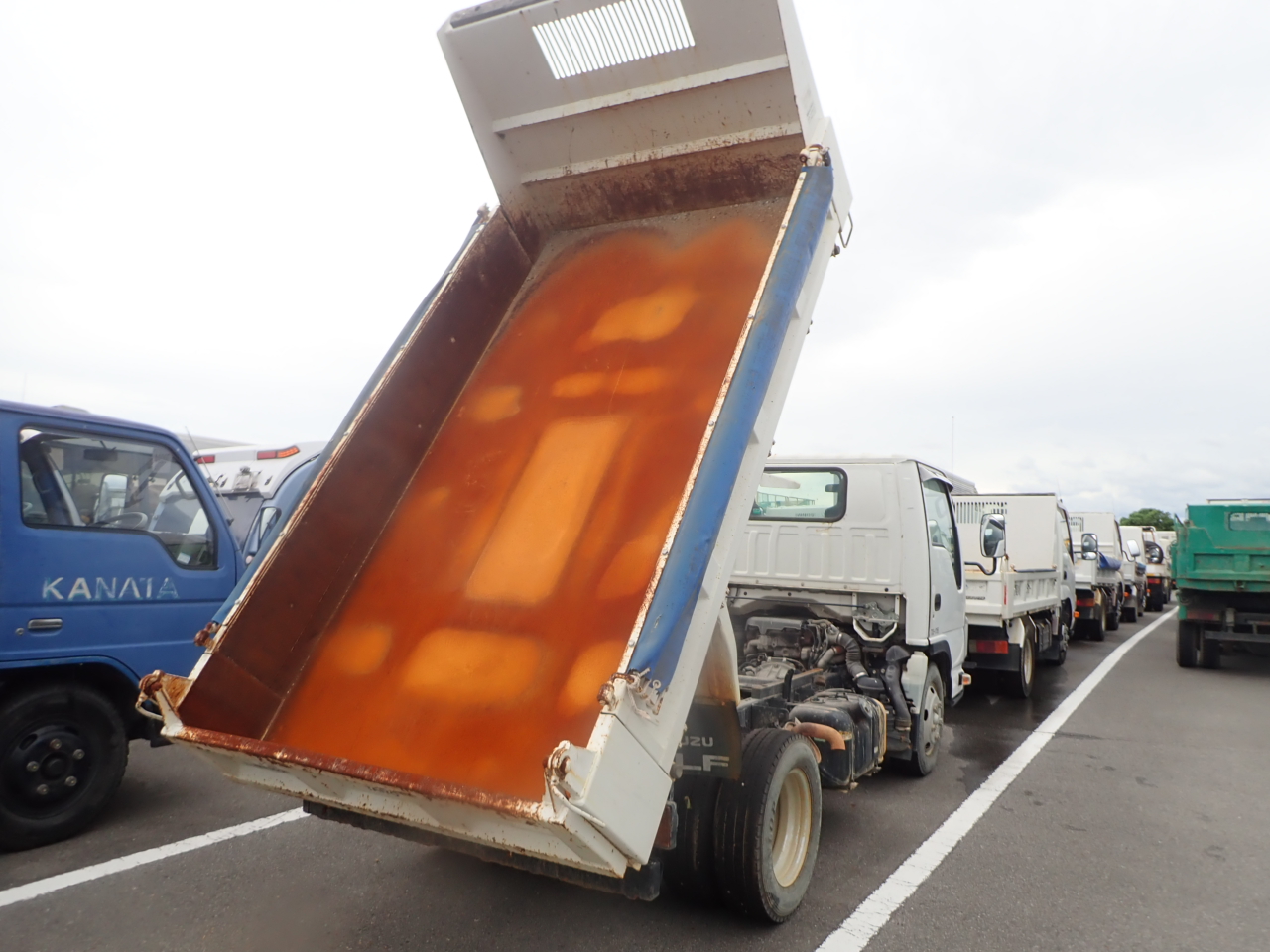 ISUZU Elf Truck