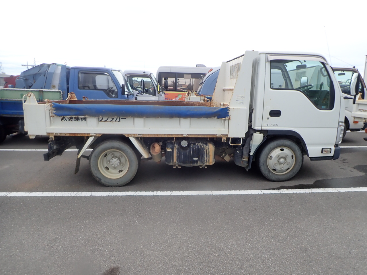 ISUZU Elf Truck