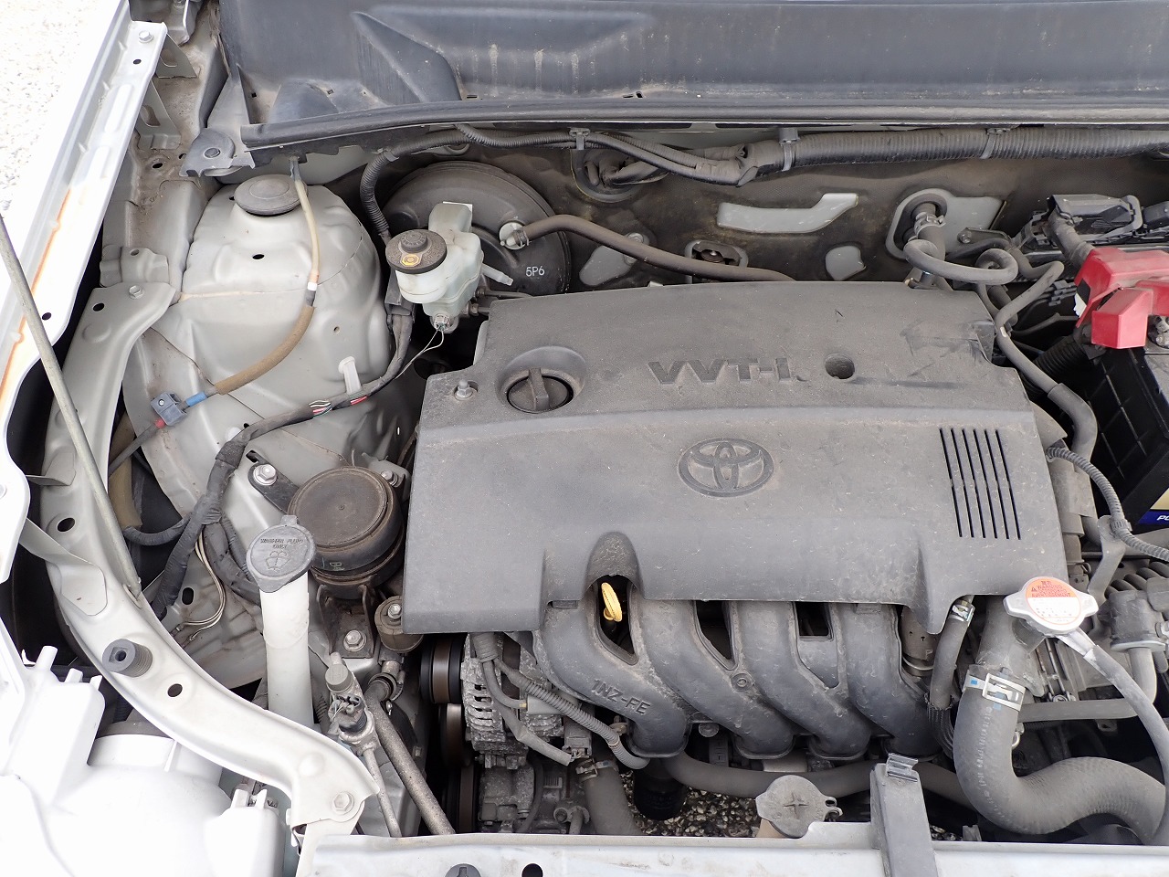 TOYOTA Succeed