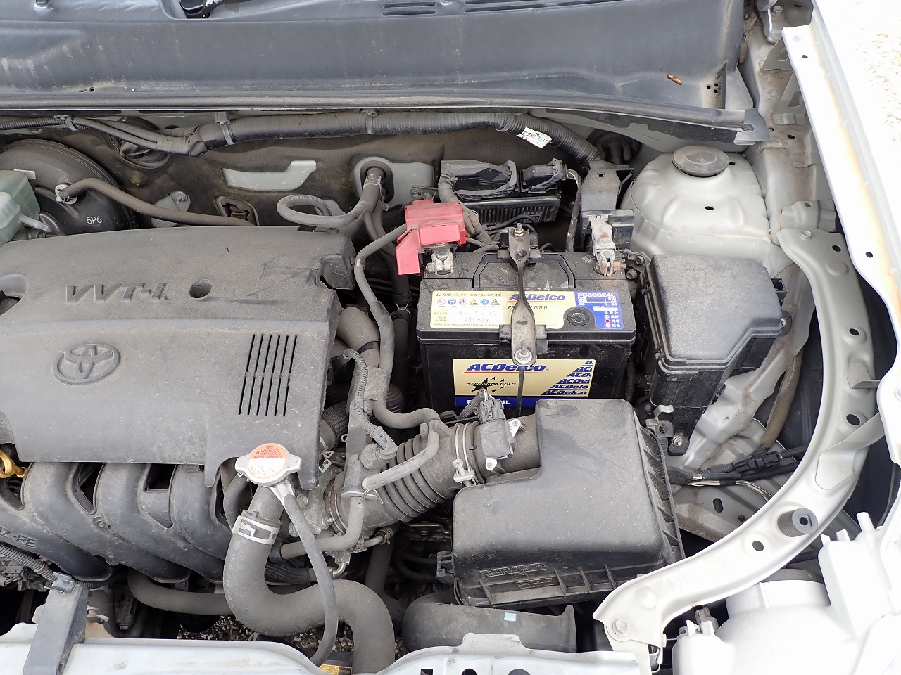 TOYOTA Succeed