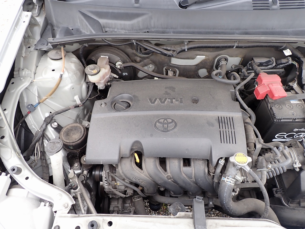 TOYOTA Succeed
