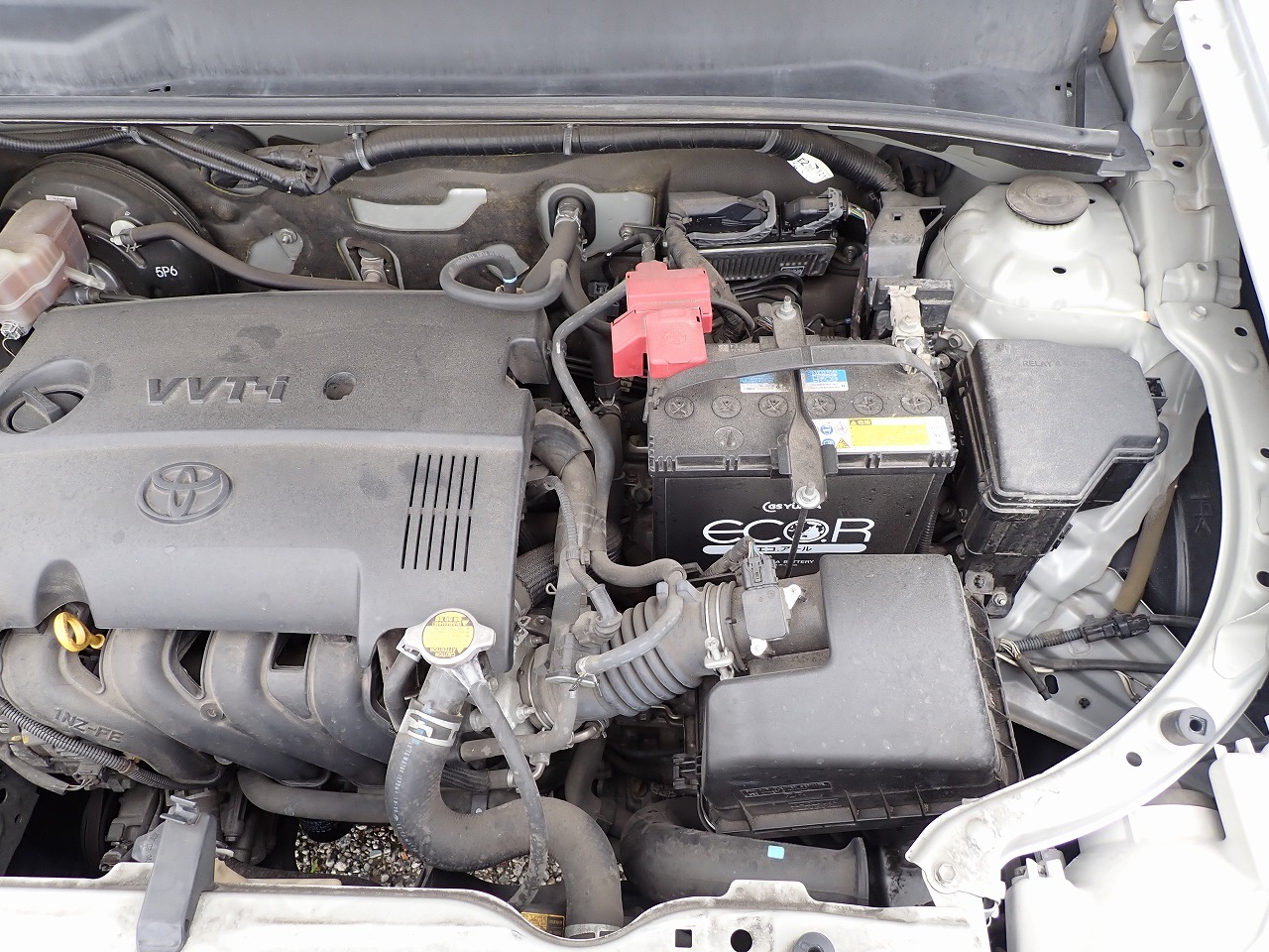 TOYOTA Succeed