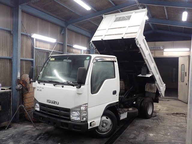 ISUZU Elf Truck