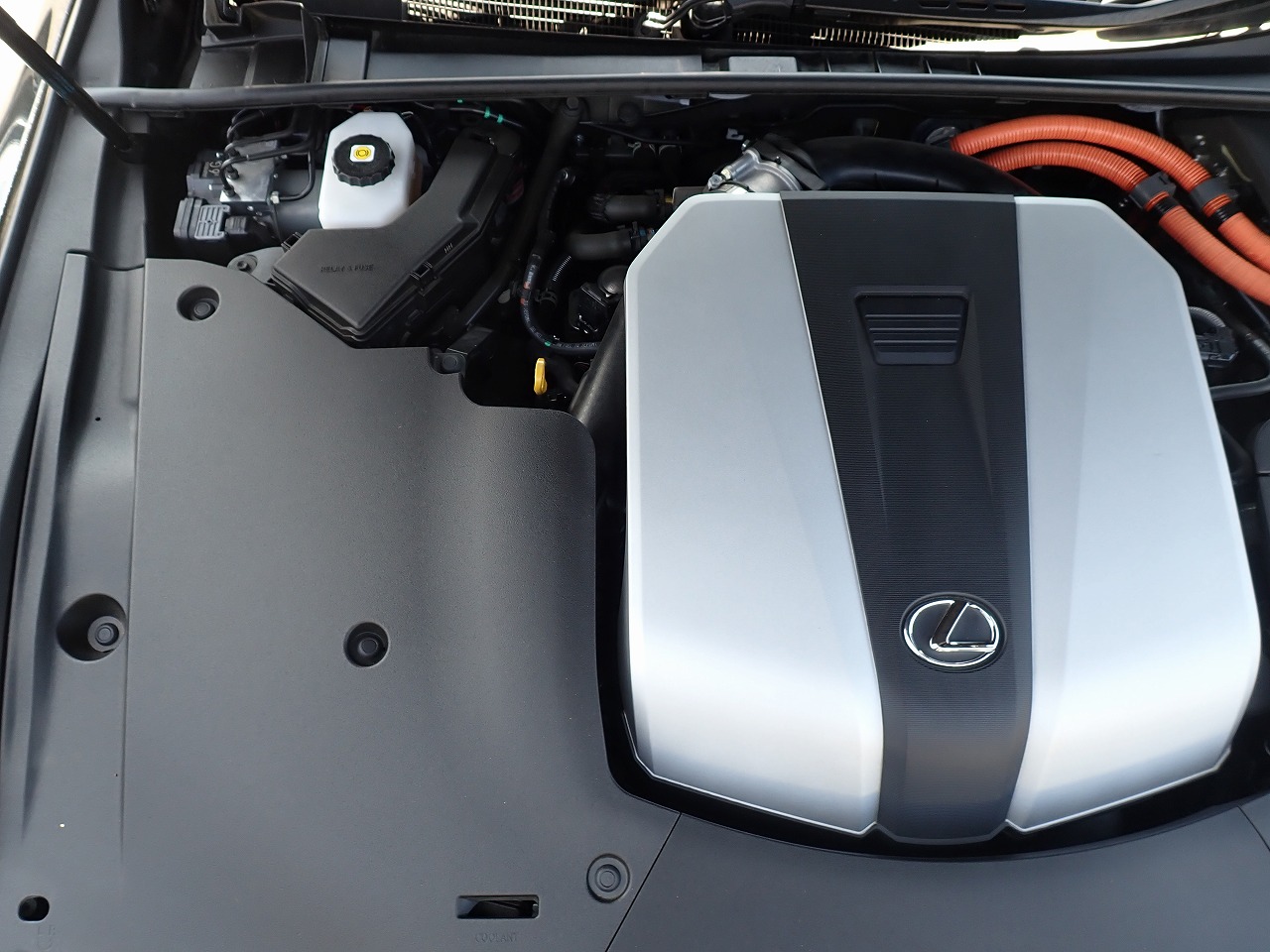 LEXUS LS