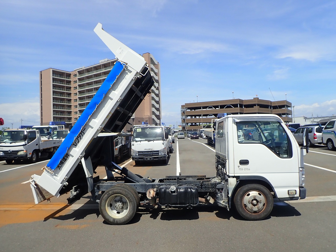 ISUZU Elf Truck