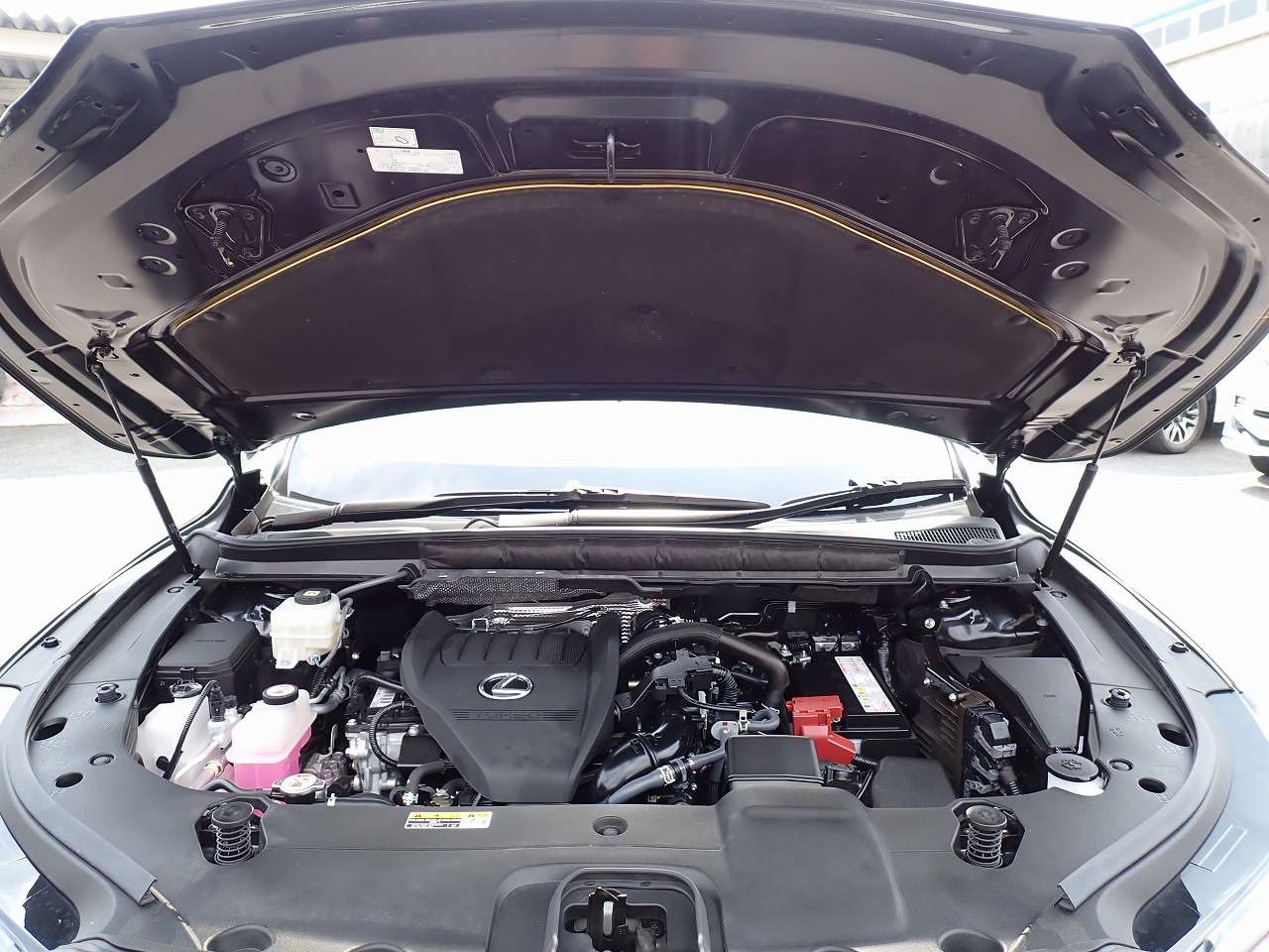 LEXUS RX