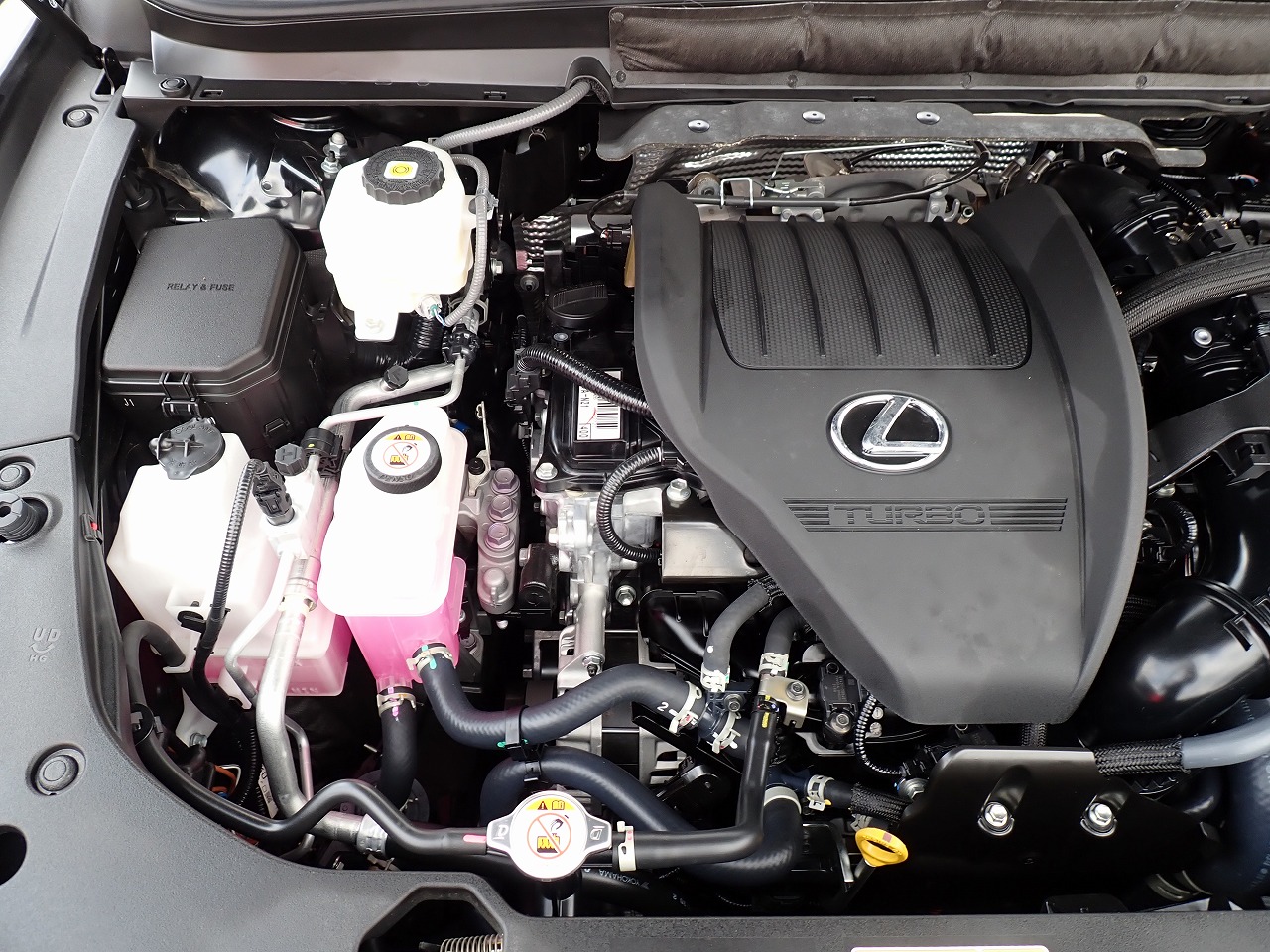 LEXUS RX