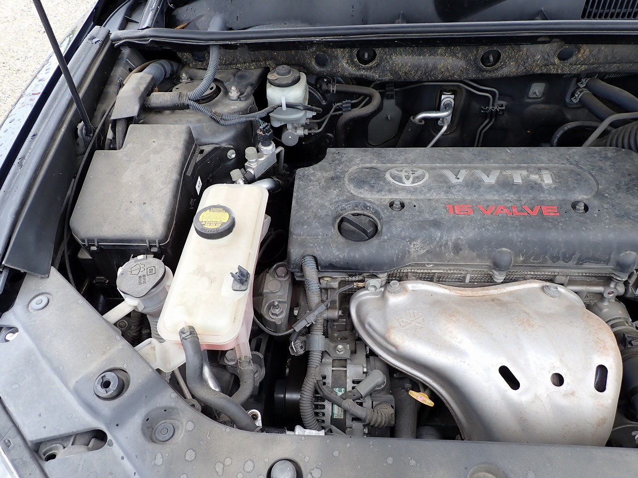 TOYOTA Vanguard
