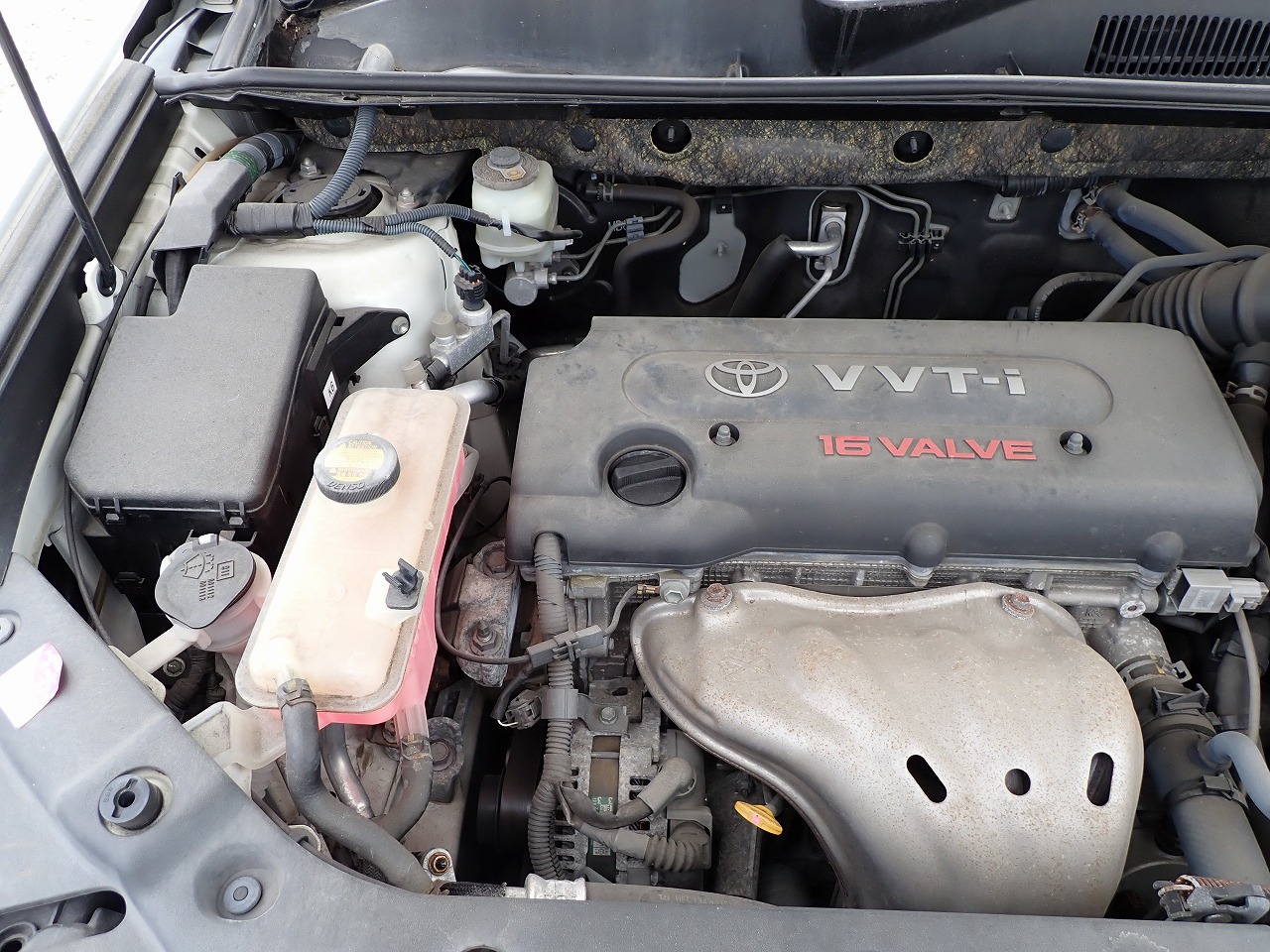TOYOTA Vanguard