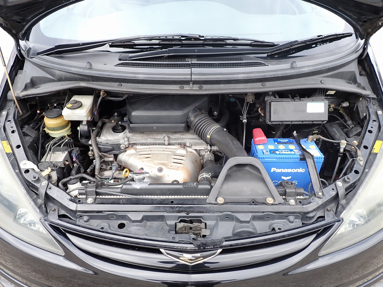 TOYOTA Estima