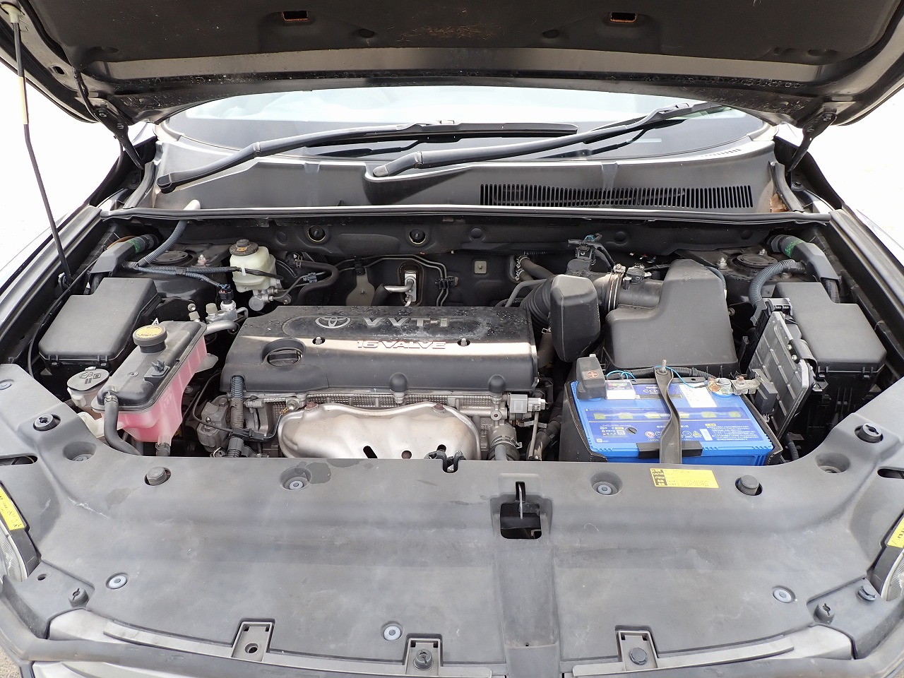 TOYOTA Vanguard