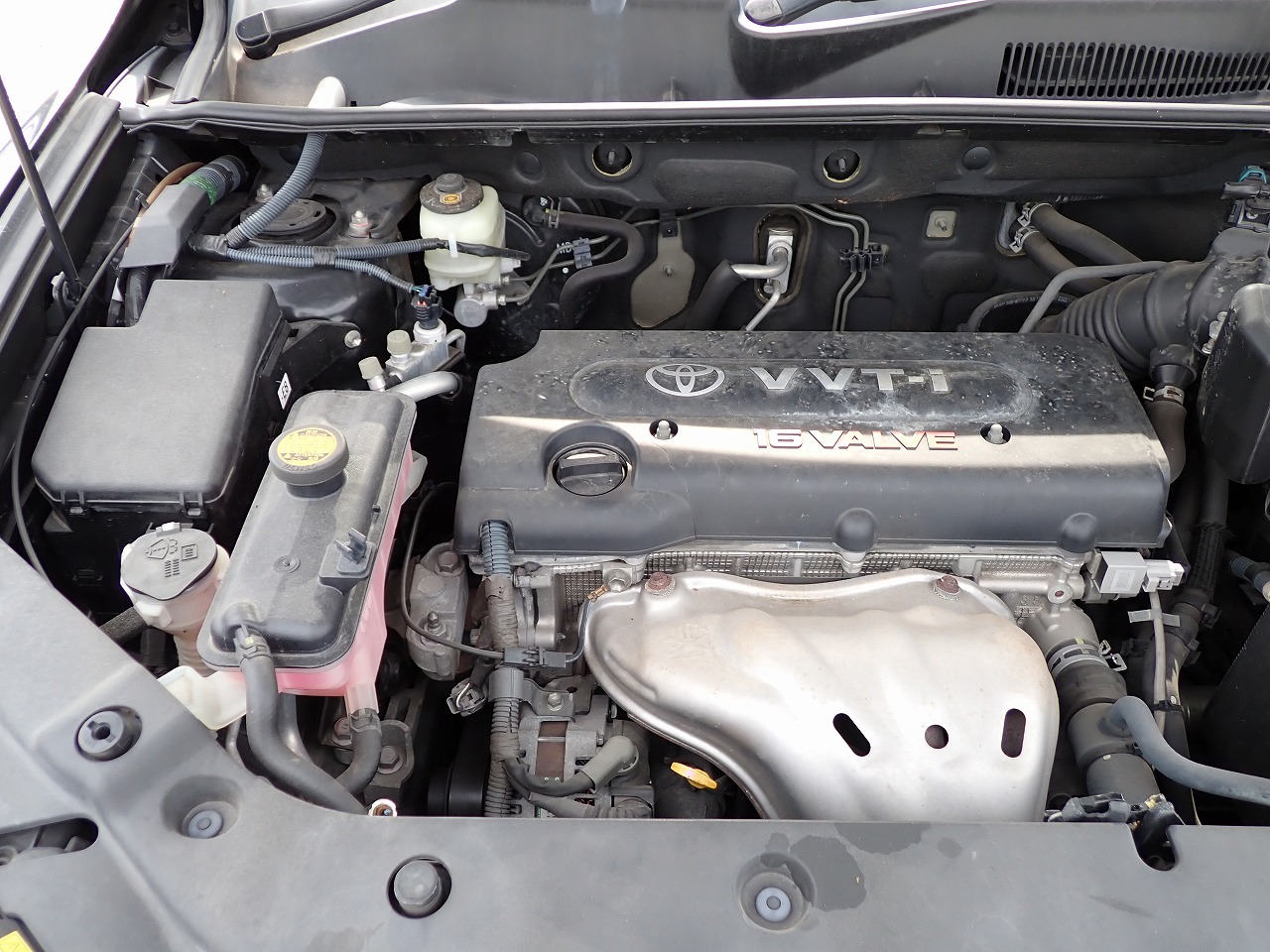 TOYOTA Vanguard