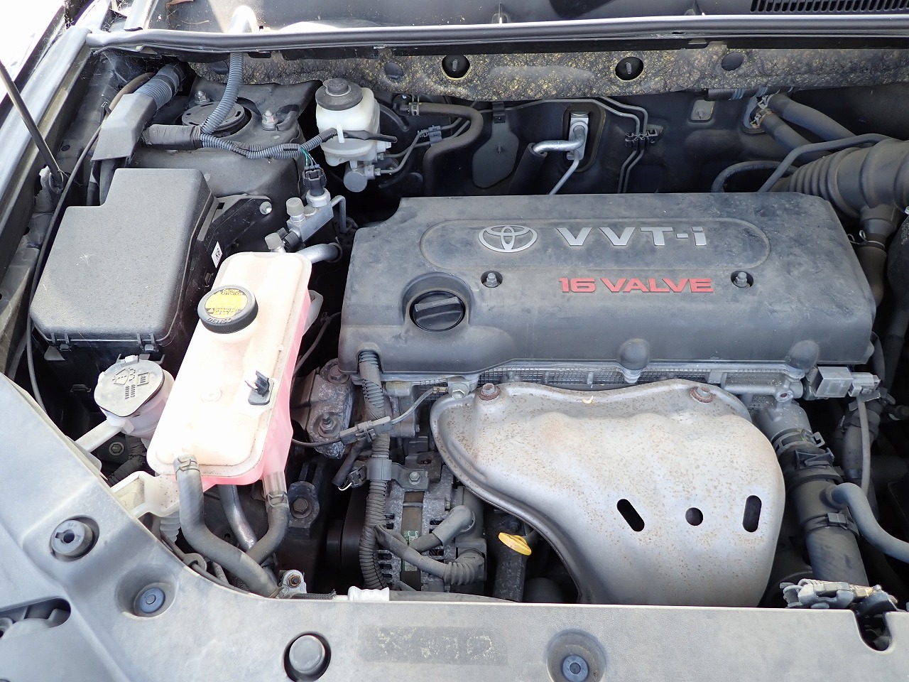 TOYOTA Vanguard