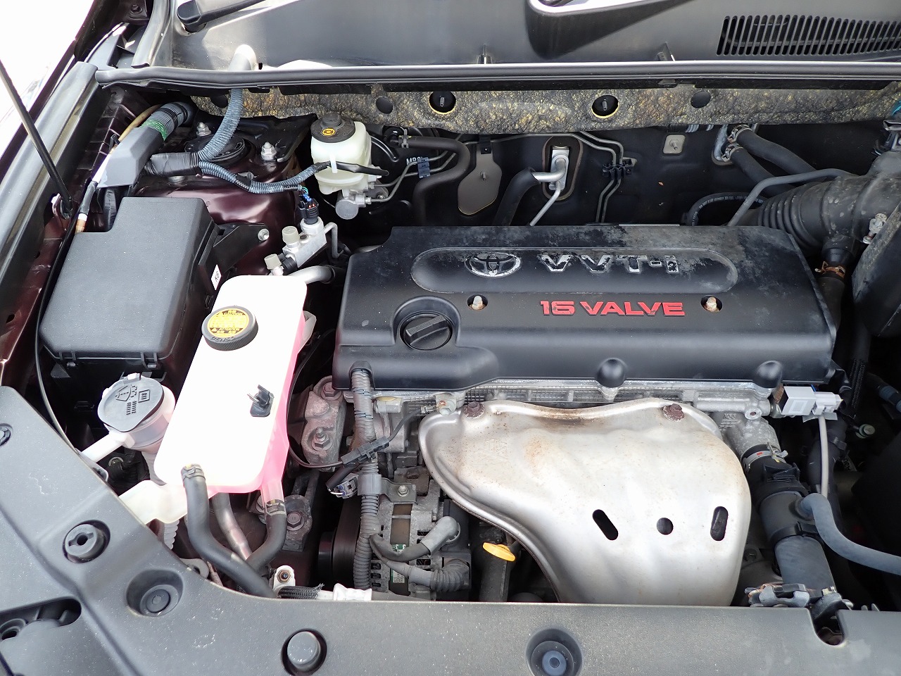 TOYOTA Vanguard