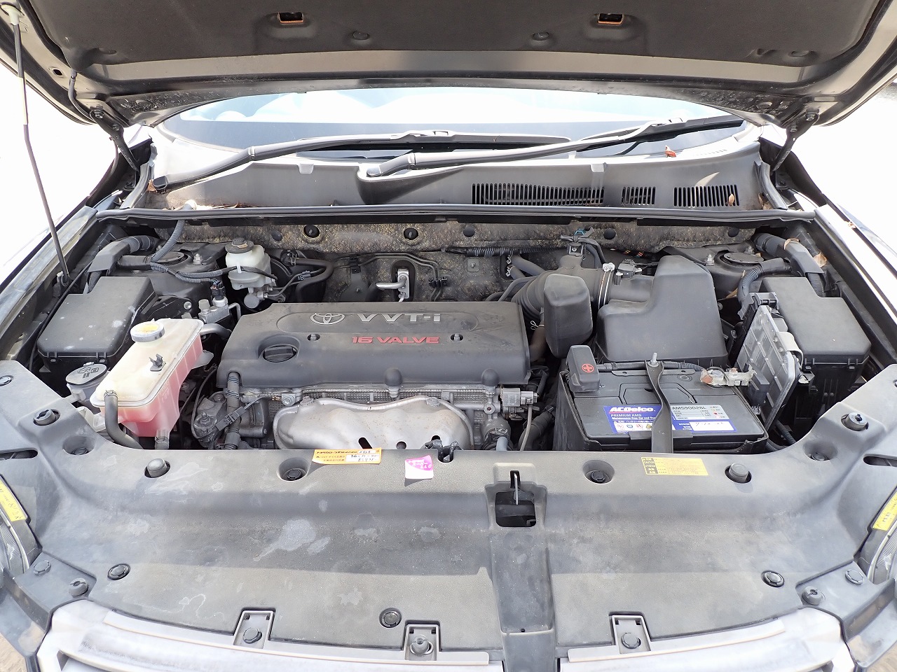 TOYOTA Vanguard