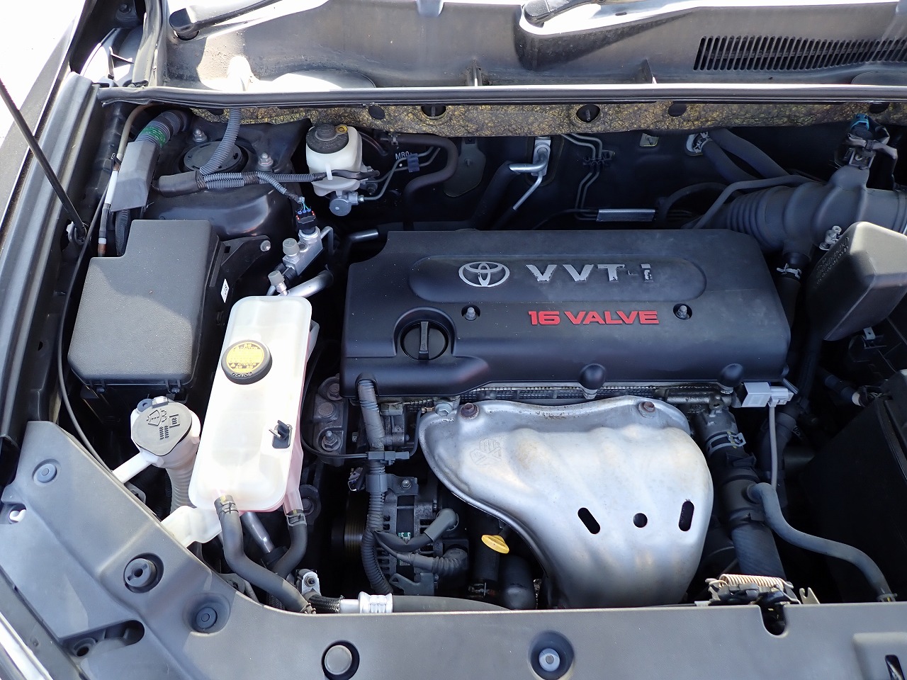 TOYOTA Vanguard