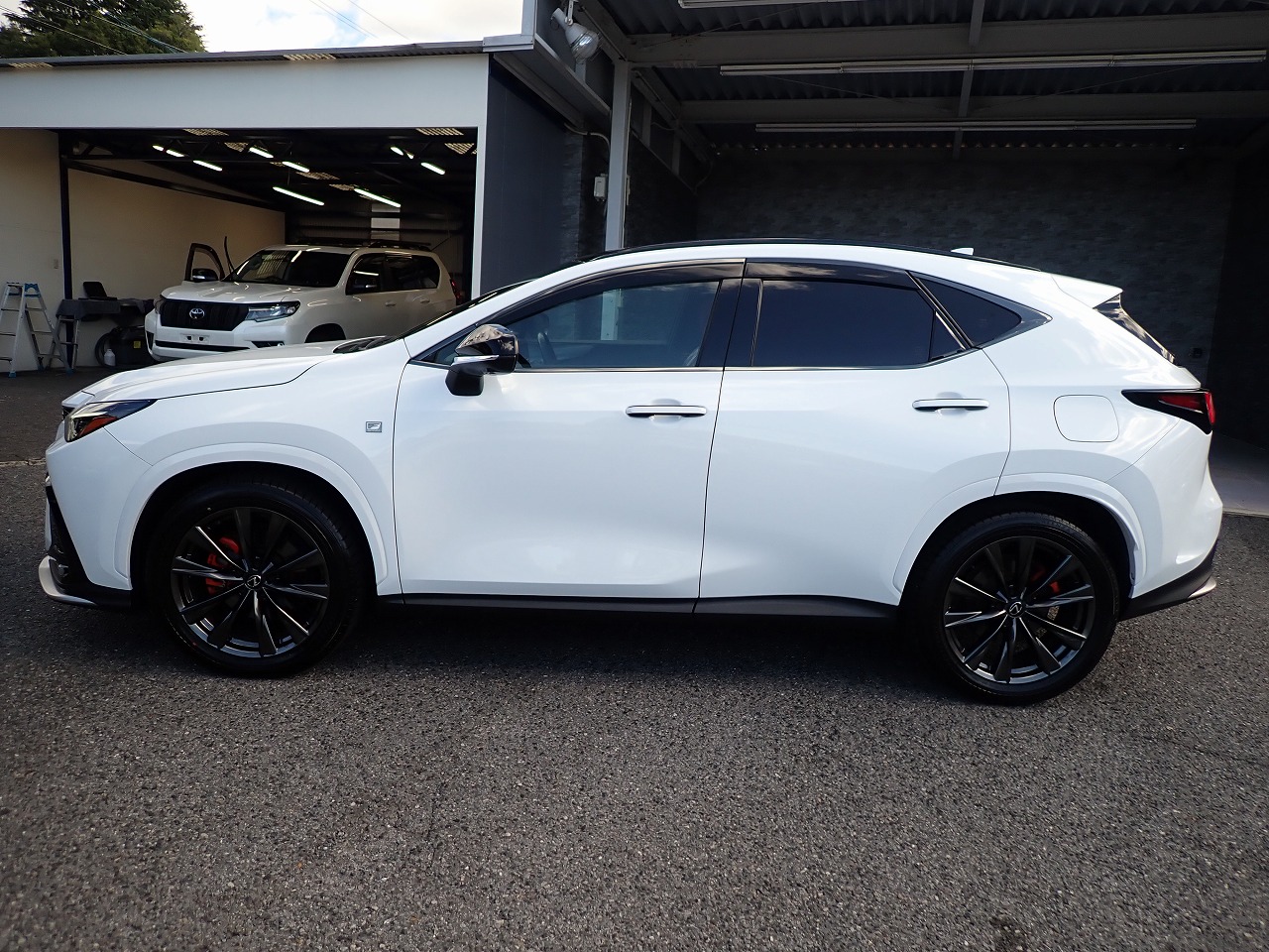 LEXUS NX