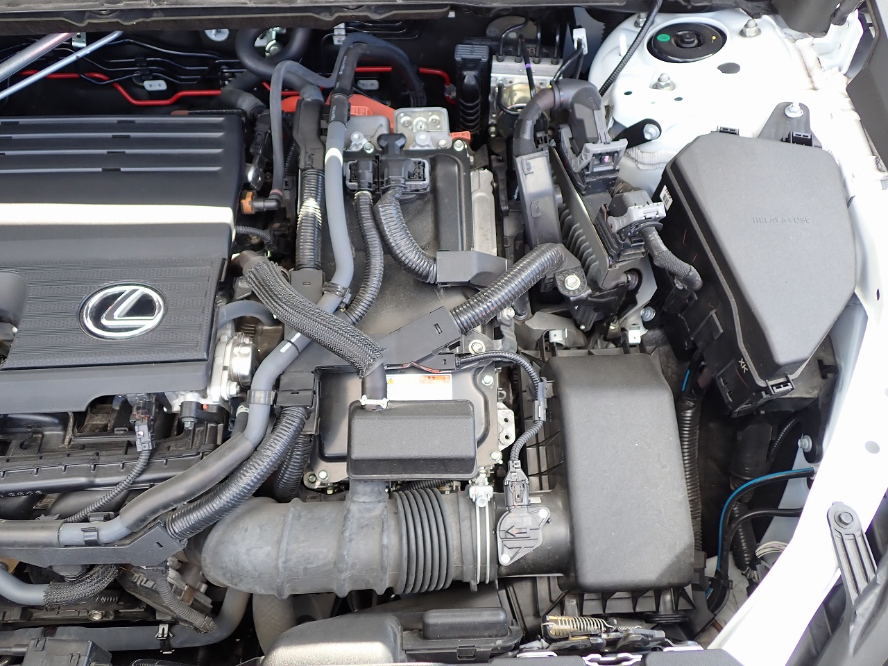 LEXUS NX